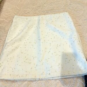 Ann Taylor business skirt